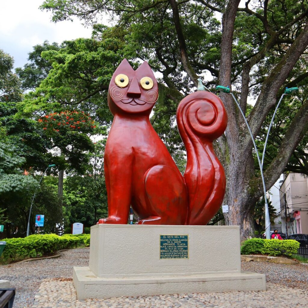 marketing digital en cali